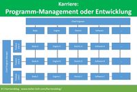 Programm-Management oder Entwicklung