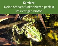 Deine Stärken funktionieren perfekt im richtigen Biotop